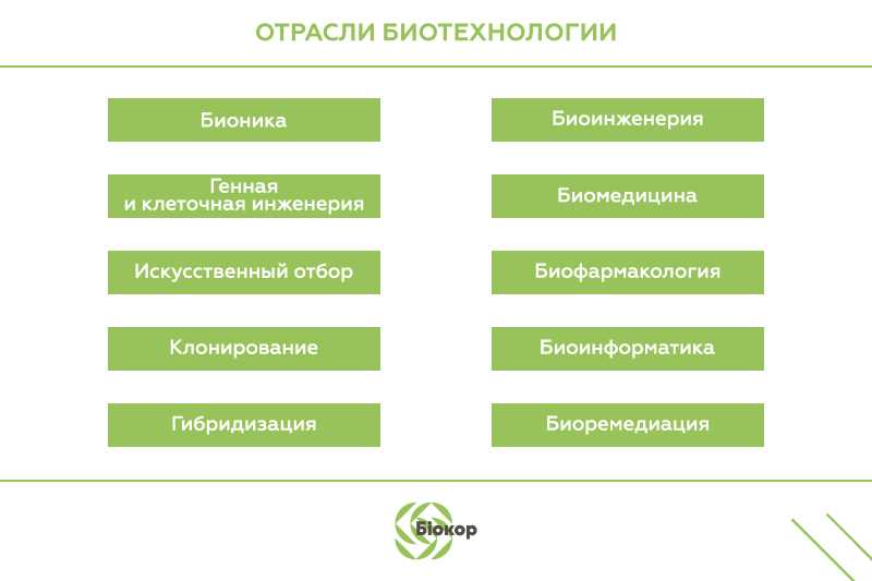 Развитие новых технологий в области биотехнологий предлагает перспективные возможности.