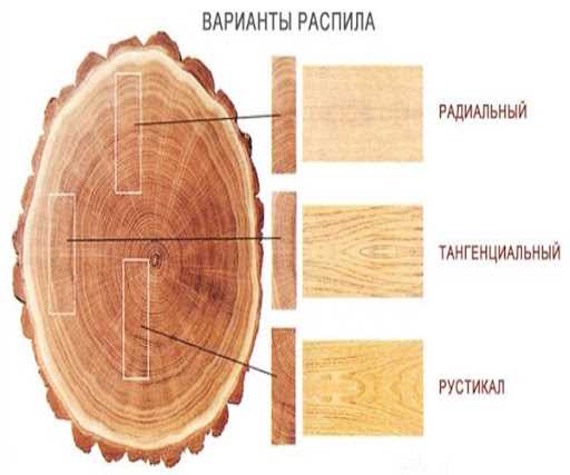 Обработка дерева: химическая, биологическая и механическая