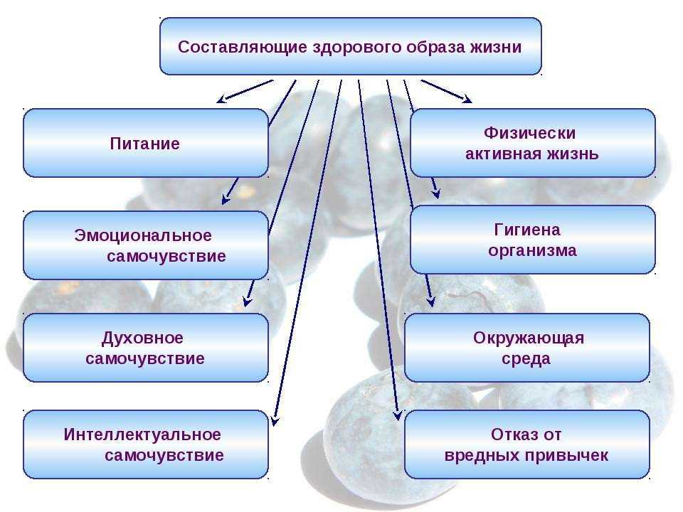 Значение социальных технологий