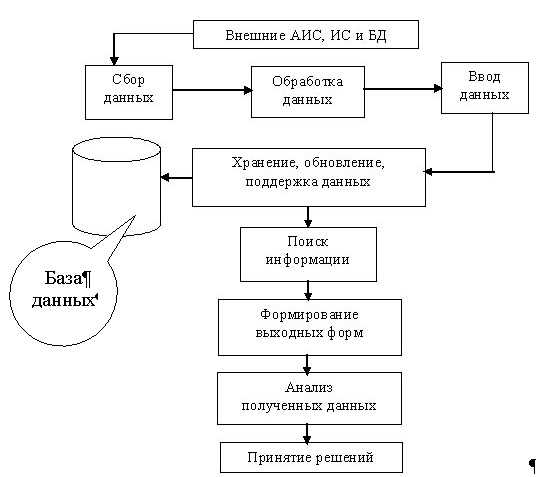 Структурная и функциональная организация АИС и АИТ