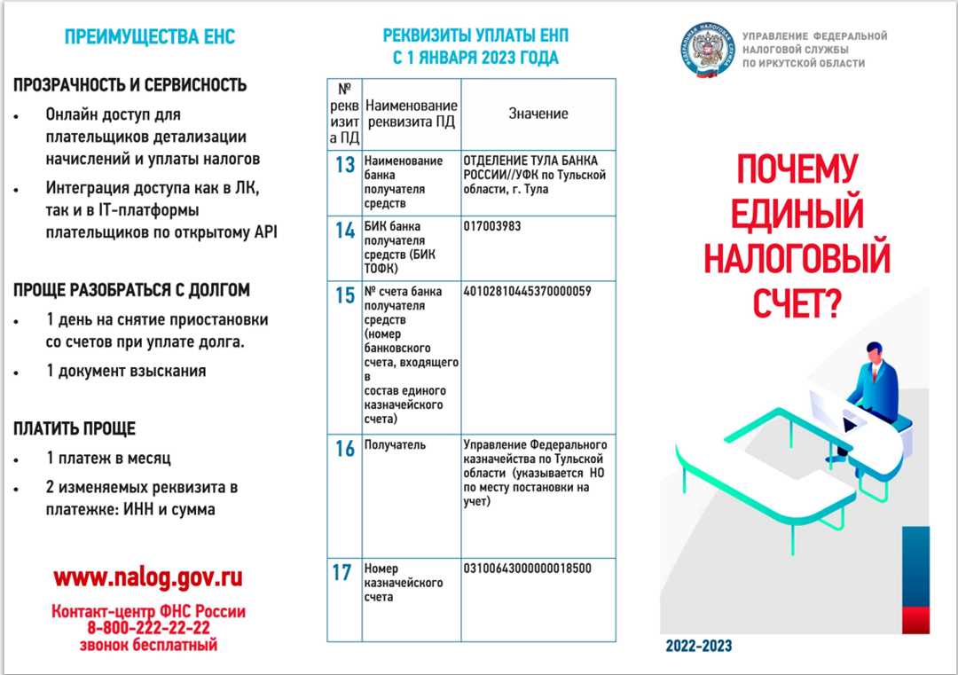 Гиперферритинемия: причины, показания и методы снижения уровня железа в крови